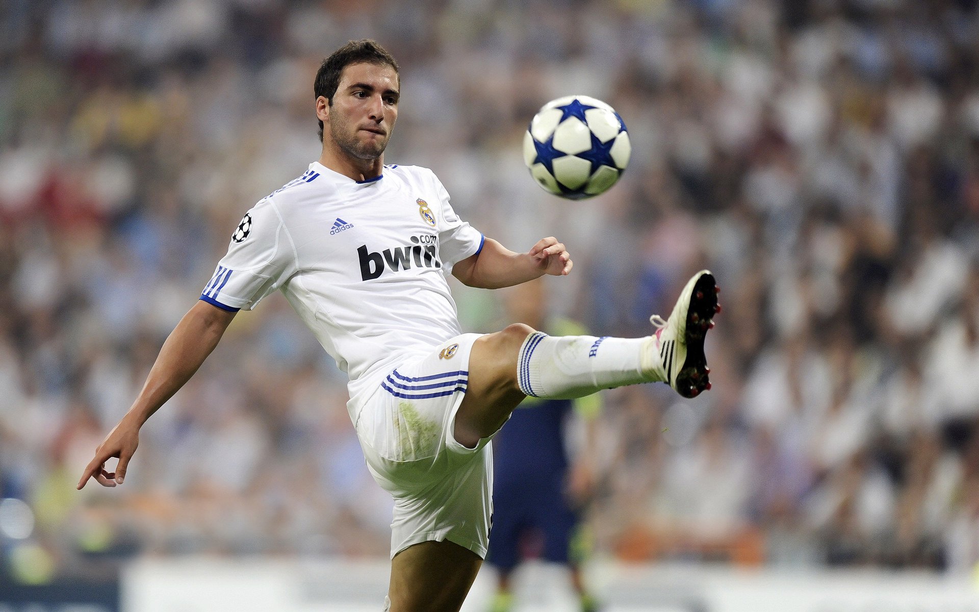 【职业生涯】明星球员的成长故事与未来展望，球星事迹